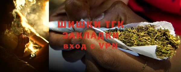 сатива Абинск