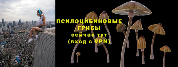 сатива Нижний Тагил